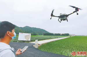 漳州：无人机播洒农药