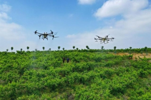 植保无人机飞防千亩山岗桃园