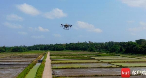 文昌：无人机直播水稻效率高 一天可播种300亩