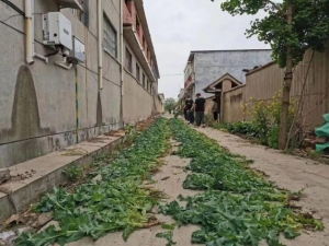 无人机出动！临沂全市严查！