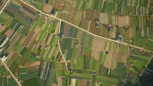 线上直播 | 影像增强，支持在线