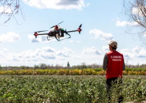 谢谢你，因为有你