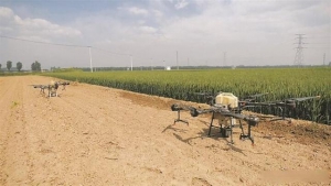 文水：无人机“亮相”田间 助力小麦病虫害防治