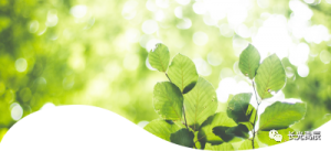 【解决方案】守护森林，光谱助力——多光谱遥感林业解决方案