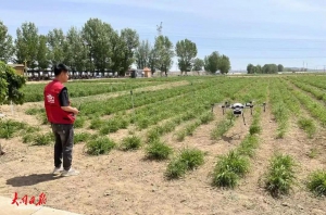 农业无人机助“飞”乡村振兴