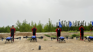 统防统治 | 夏季病虫害高发，极目高效防治