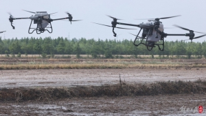 芒种，上海市郊大地正“忙种”，无人机等装备升级显身手