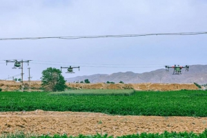 起飞！榆中无人机穿越田间忙农事
