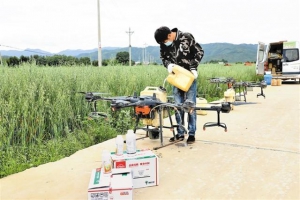 无人机护航粮食生产会泽县128万亩粮食作物基本实现统防统治