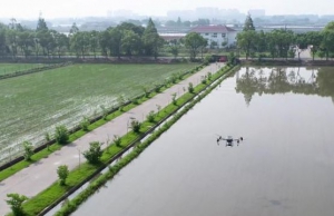 上海：“无人农场”新成员显身手 13亩农田施药用时不到6分钟