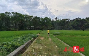 三圣乡：无人机助推山区农业绿色发展