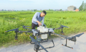 1天完成千亩 无人机助力荆州江陵夏粮飞防