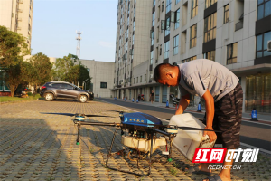 西湖：水岸惊现隐翅虫 无人机助阵来灭除