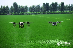 临沂郯城：无人机“飞防”作业 确保秋粮丰收