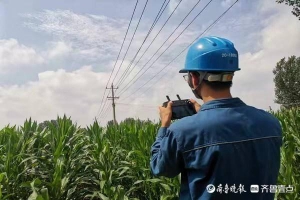 国网泰安供电公司无人机精准巡视保线路健康运行