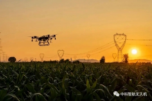 无人机，守护田间的每一粒米