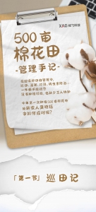 超级棉田第二季：90 后新农人如何管理 500 亩棉花？