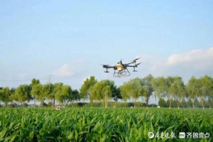 岱岳区马庄镇借助无人机，开展病虫害防治