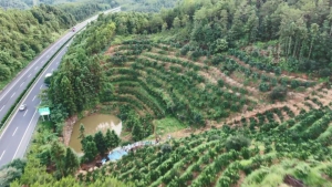 极目智农 | 上山下乡“她力量”，女超人会飞！