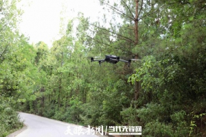 黔西市花溪乡：无人机变身护林“使者”