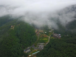 无人机技术在森林资源保护中的应用