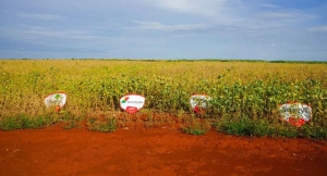 巴西 | 大豆竞赛验证无人机增产增收等优势