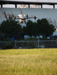 无人机飞撒绿肥 “润”土细无声