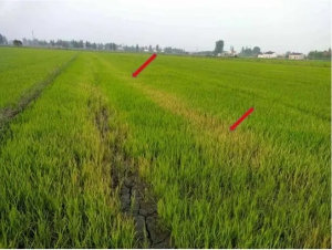 如何避免农业无人机作业产生意外损失