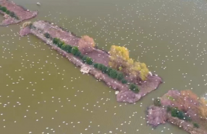 壮观！无人机拍下这一幕……