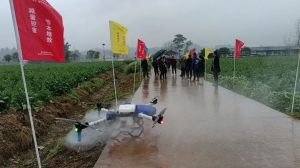 重庆 | 极目参与油菜统防统治，“虫口夺粮”保丰收