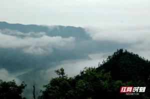 防火林带、无人机广播……湖南森林防火工作有了“生态帮手”与“空中卫士”