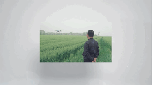 怀农行动 | 极目与用户携手开启丰硕2023