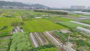 无人机爱好者的一个发现惊动了警方…