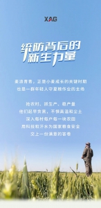 守护夏粮丰收背后的青年力量