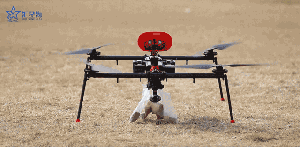 在汇星海的花园里面挖呀挖呀挖...