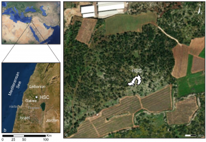 基于SLAM的LiDAR提供的以色列北部史前晚期复杂洞穴的形成过程和空间格局