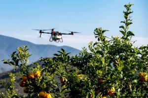 节省83.3%人工、农药成本，这个柑橘园是如何做到的？