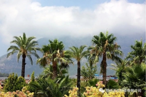 欧荷植保无人机电池，远赴东南亚为马来西亚植保行业提供澎湃动力