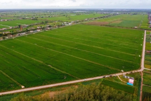 智慧农场，从“种”开始