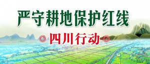 “无人机”“巡田APP”显身手！合江田长们巡田“有范儿”