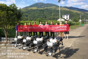 作业20000余亩！零陵：无人机飞防剿灭“竹林杀手”