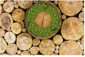 制造业的下一次革命：可持续材料