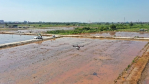 让种子“飞”起来，无人机“飞播”水稻显高效