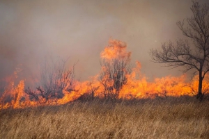 使用无人机进行热点定位和其他支持应用来扑灭加拿大的野火