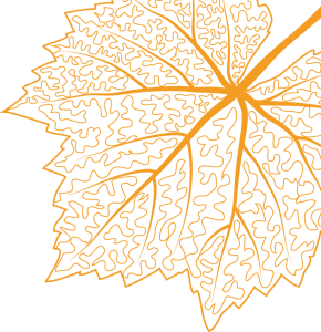 资讯共享 | 教育行业一周资讯速览