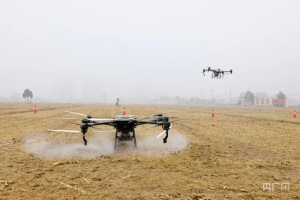 河北宁晋：无人机“翼”决高下 “助飞”乡村振兴