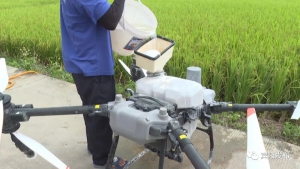 实施“一喷多促”和水稻重大病虫害统防统治 护航我县秋粮稳产增收