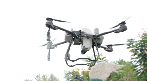 无人机打蚊子 黄陂景区下大功夫