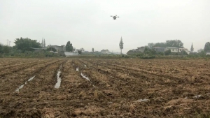 无人机助“飞”乡村振兴 稻油轮作“农闲田”变“效益田”