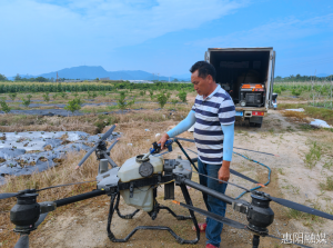 惠阳：无人机“飞防”助力粮食生产提质增效